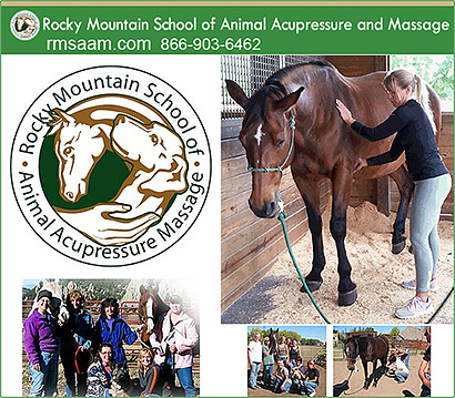 Rocky Mountain School of Horse Massage and Acupressure