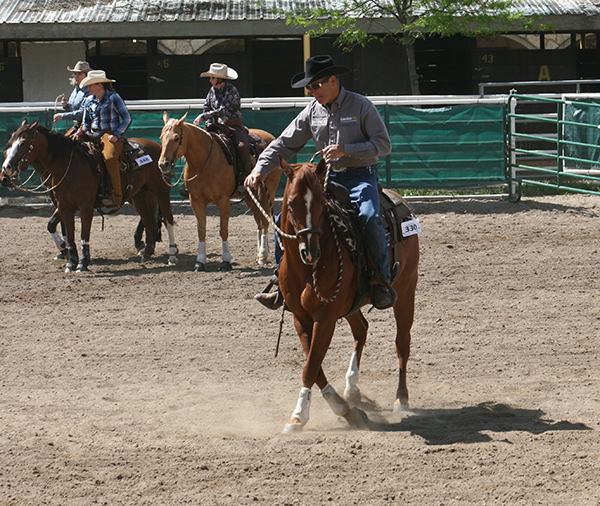 Im pushing my horses shoulders around to the right to   correct a dropped left shoulder  