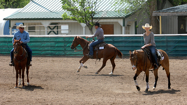 Practicing loping squares in the horse show warm-up pen