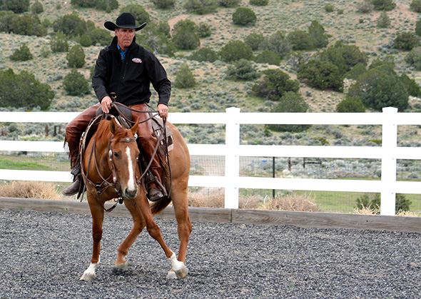 Teaching an honest lead change to the horse.