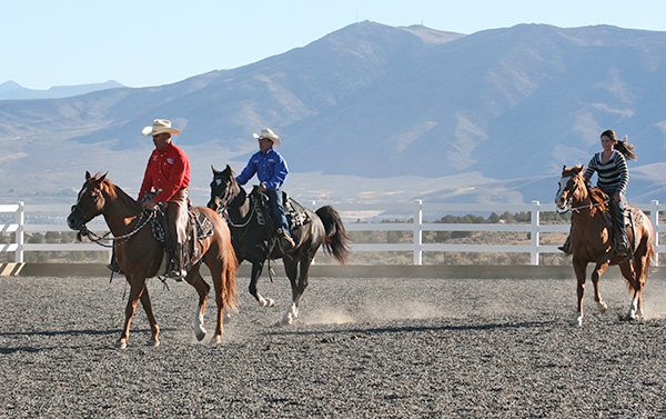 Now my horse is feeling more confident with horses approaching at different speed.