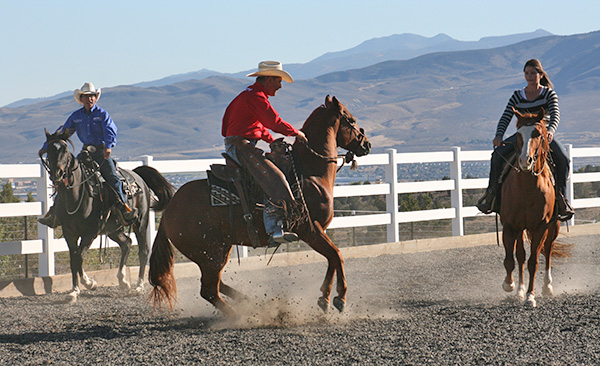 At first my horse is extremely intimidated by other horses approaching quickly.