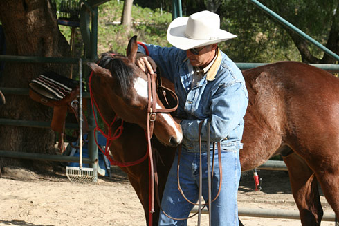 Place the bridle over the bridge of your horse's nose and bend his head.