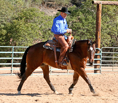 My body is trotting a right hand circle and my horse is following my direction