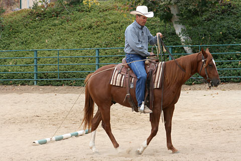  Be aware of how your horse handles the rope around his rump when moving to the left.