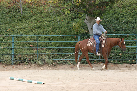 I allow my colt to pull the pole around to the right.