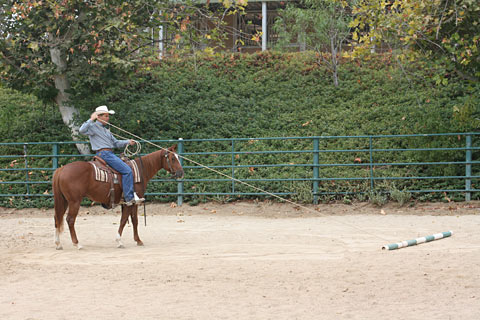  I am pulling the pole to myself - allowing my colt to observe its movement.