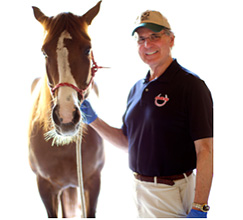 Horse Hoof Treatments that work!