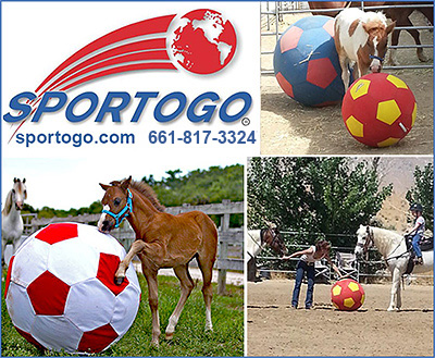 Horse Toys from Sportogo
