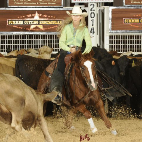 Sue Ann Smith How to Communicate with Horses!