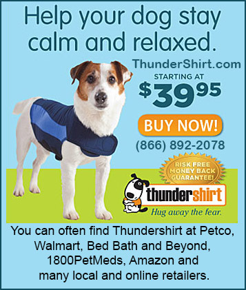 thundershirt protection for dogs!