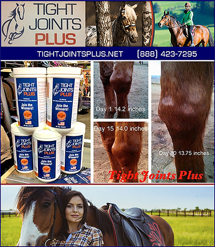 Tight Joints Plus Horse Supplements for Joints and Arthritis