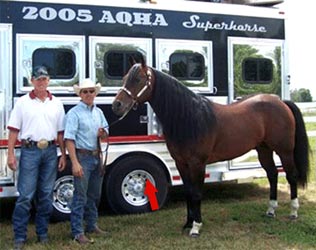 Safe trailering and your tire pressure.