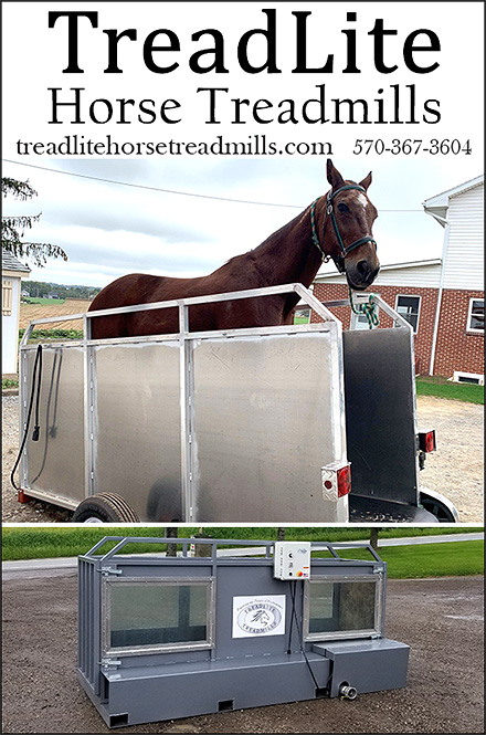 Horse Treadmills by Treadlite.