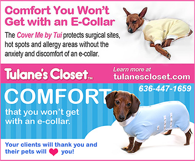 Tulanes Closet Cover Me E-Collar Alternative