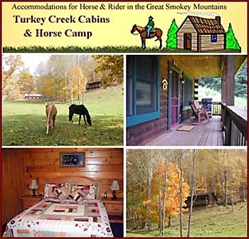 Turkey Creek Cabins