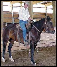 lateral flexion excercise for horses.