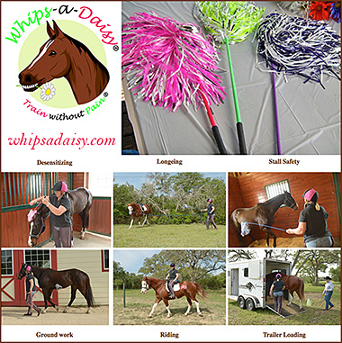 Whips a Daisy Gentle Horse Training Whip