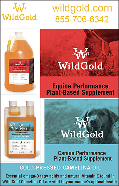 Wild Gold Camelina Oil for Horses and Dogs.