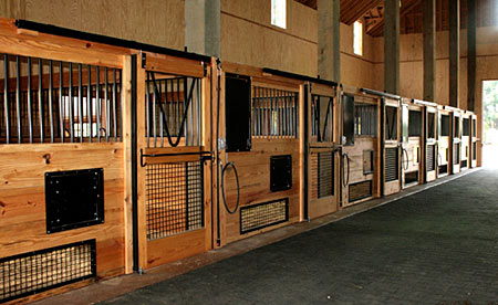 Nicely Ventilated Horse Stall Front