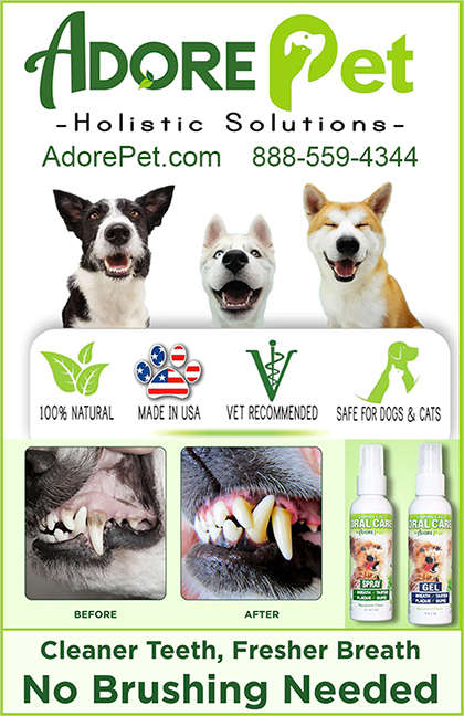 Adore Pet Oral Care Spray and Gel.