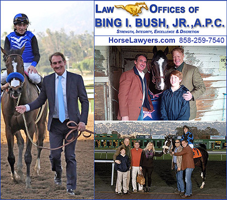 Law Offices of Bing Bush A.P.C., Horse Lawyer