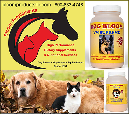 Bloom Supplements for Dogs