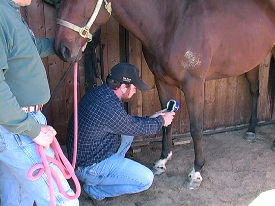 Onsite-Thermal-Imaging-offers-immediate-education-for-farrier-and-owner
