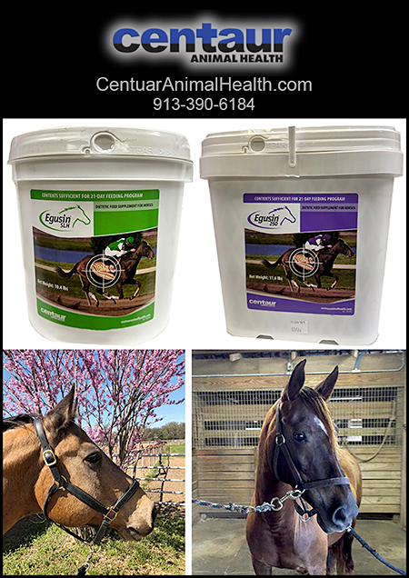 Centaur Animal Helath Supplements for Horses