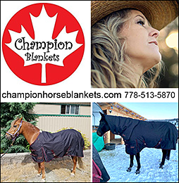 Champion Horse Blankets