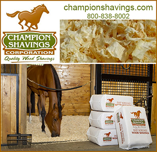 Champion Horse Bedding