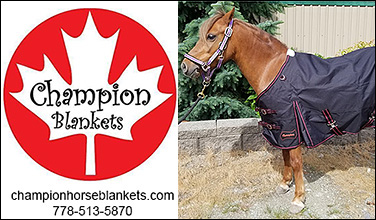 Champion Blankets for HorsesChampionhbhmad1019