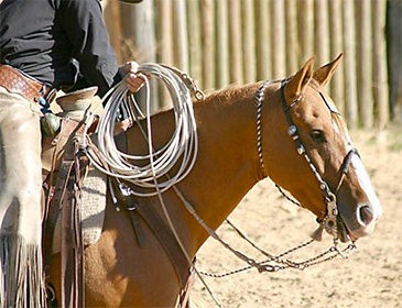 Using any bit correctly