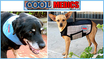Cool Medics