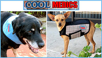 Cool Medics