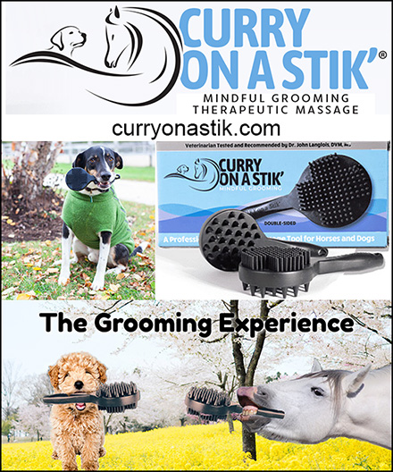 Curry On A Stik Pet Grooming