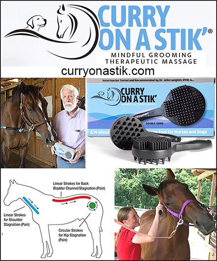 Curry On A Stik Horse Curry Comb