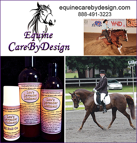 Horse Liniment by Equine Care by Design