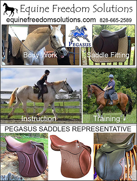Equine Freedom Solutions Horse Bodywork Clinics