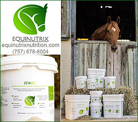 ZENRG Horse Calming and Horse Focus Health Supplement