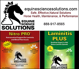 Equine Science Solutions Laminitis help for your horse.