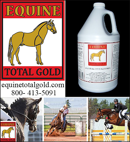 Equine Total Gold Allergy Supplement for Horses