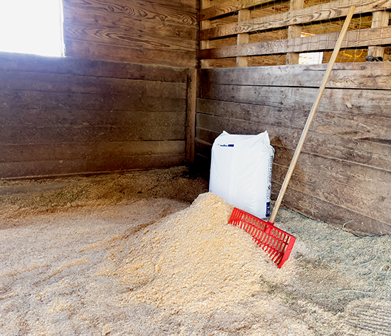 Taking Care of Your Horse's Stall