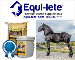 Equi-lete Premium Horse Supplements