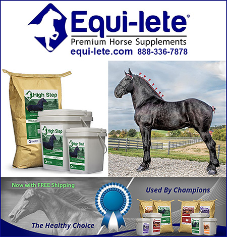 Equi-lete High Step Supplements