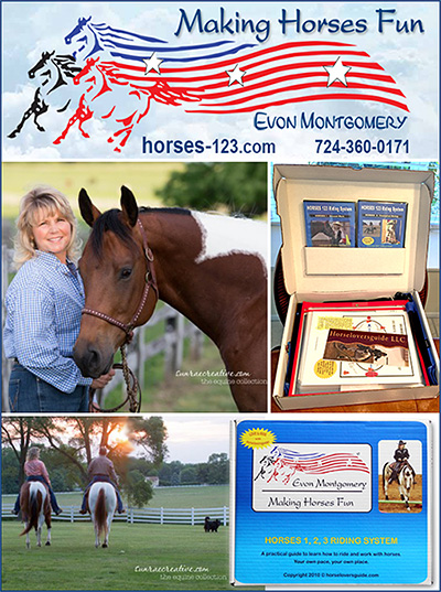Evon Montgomery Horses 123 Training System