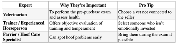 Team Experts include Veterinarian, Trainer and Farrier.