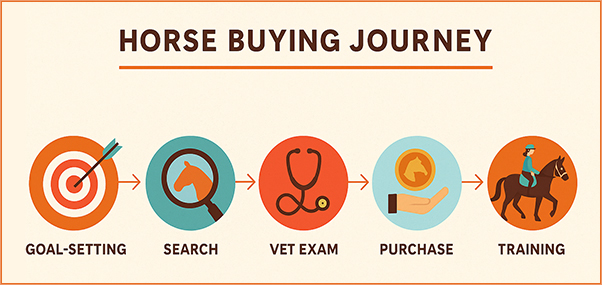 Horse Buyers Guide