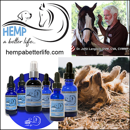 Hemp Dog Health Products