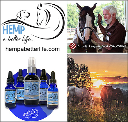 Hemp Horse Supplements
